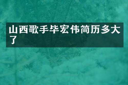 山西歌手毕宏伟简历多大了