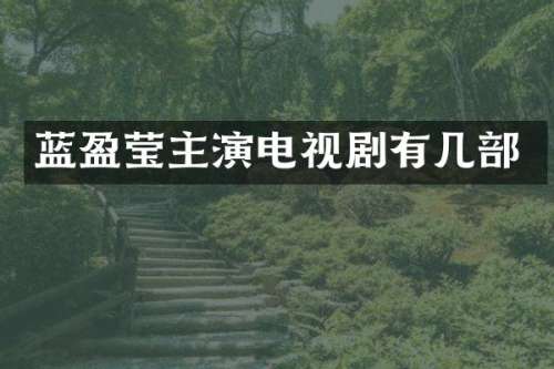 蓝盈莹主演电视剧有几部