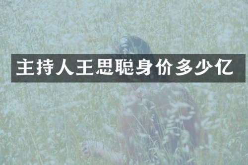 主持人王思聪身价多少亿