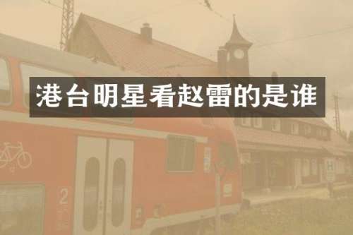 港台明星看赵雷的是谁