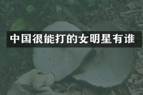 中国很能打的女明星有谁