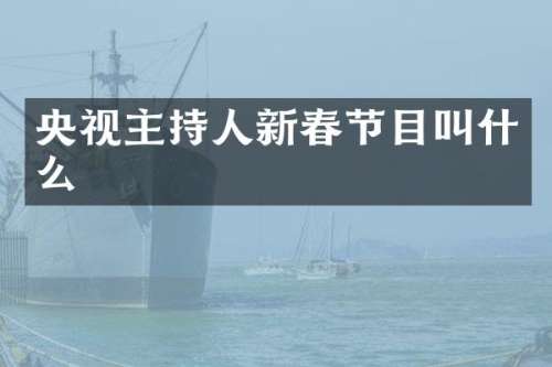 央视主持人新春节目叫什么