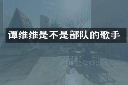 谭维维是不是部队的歌手