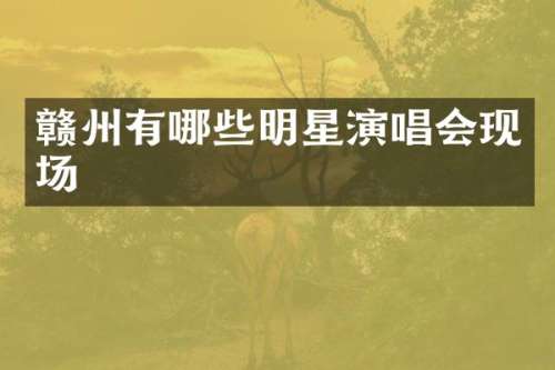 赣州有哪些明星演唱会现场