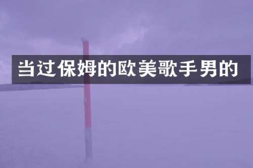 当过保姆的欧美歌手男的