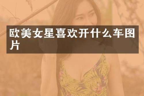 欧星喜欢开什么车图片