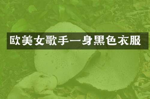 欧歌手一身黑色衣服
