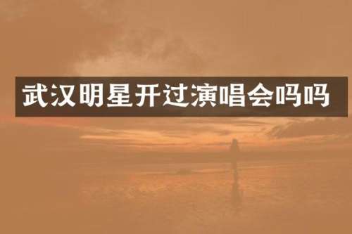武汉明星开过演唱会吗吗