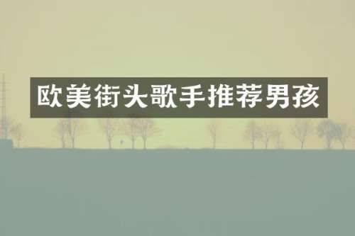 欧美街头歌手推荐男孩