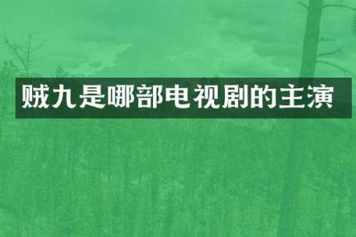 贼九是哪部电视剧的主演