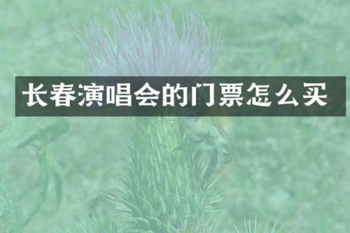 长春演唱会的门票怎么买