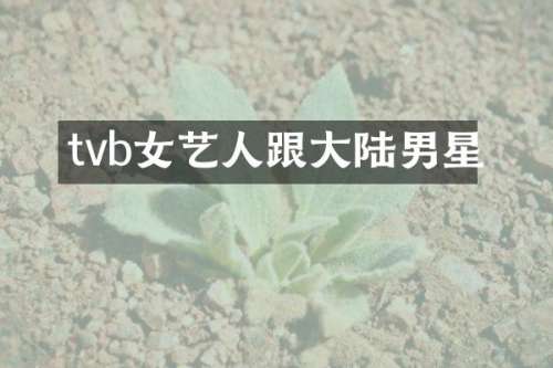 tvb女艺人跟大陆男星