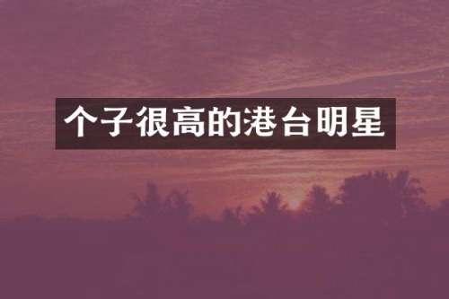 个子很高的港台明星