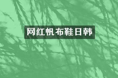 网红帆布鞋日韩