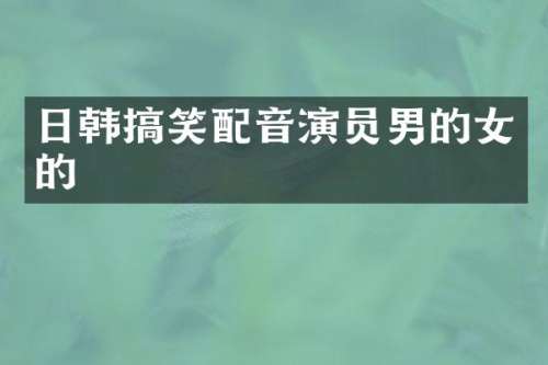 日韩搞笑配音演员男的女的