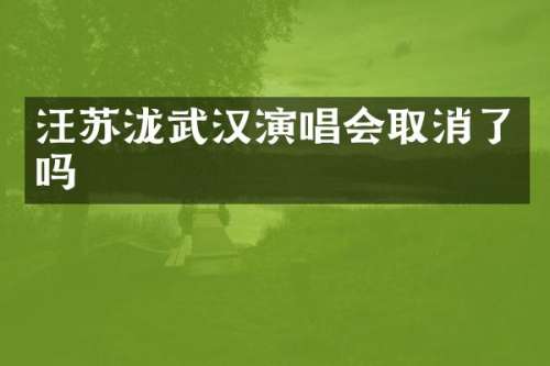 汪苏泷武汉演唱会取消了吗