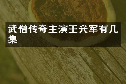 武僧传奇主演王兴军有几集
