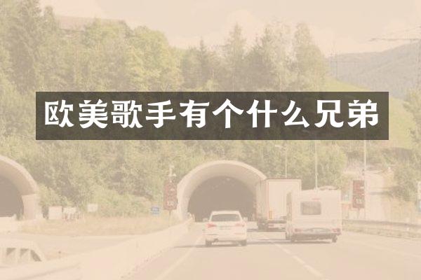 欧美歌手有个什么兄弟