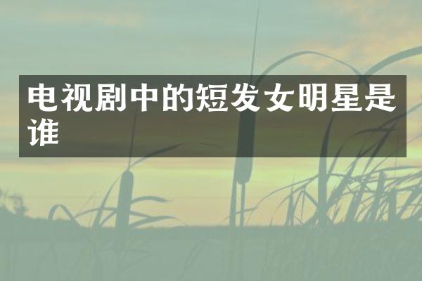 电视剧中的短发女明星是谁