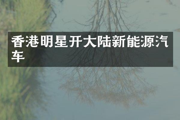 香港明星开大陆新能源汽车