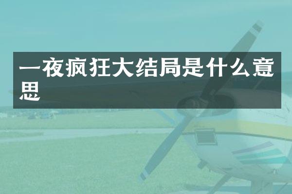 一夜疯狂大结局是什么意思