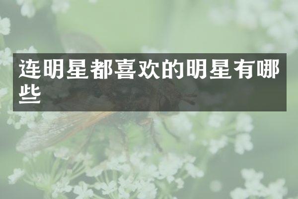 连明星都喜欢的明星有哪些