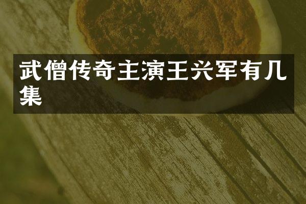 武僧传奇主演王兴军有几集
