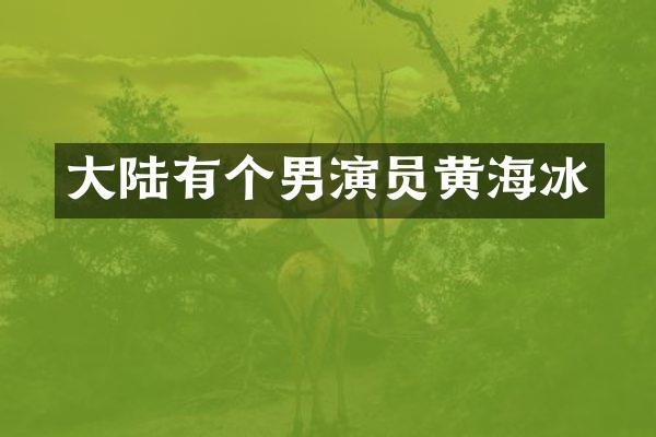 大陆有个男演员黄海冰