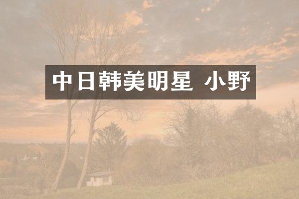 中日韩美明星 小野