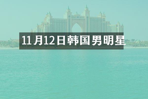 11月12日韩国男明星
