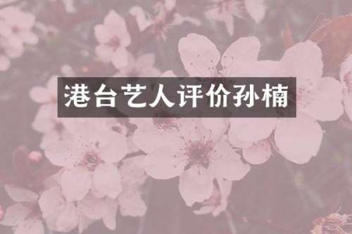 港台艺人评价孙楠