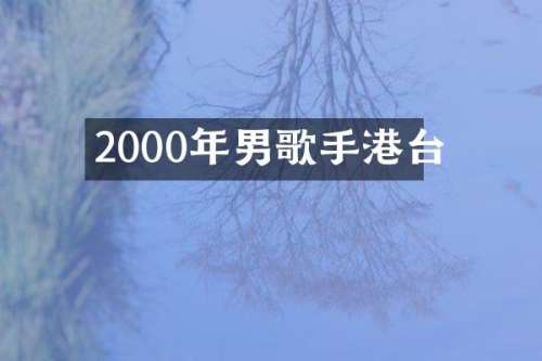 2000年男歌手港台