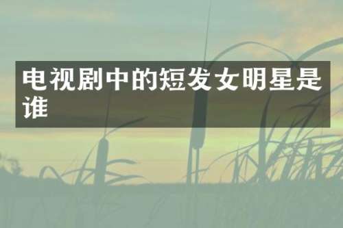 电视剧中的短发女明星是谁