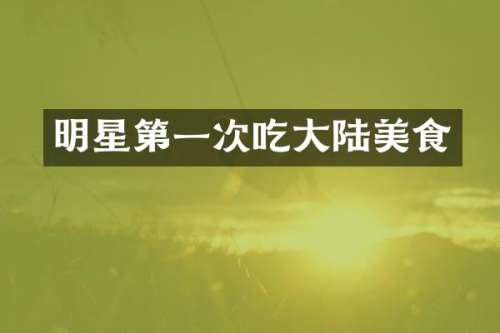 明星第一次吃大陆美食
