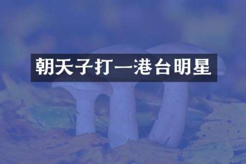 朝天子打一港台明星