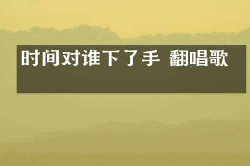 时间对谁下了手 翻唱歌手