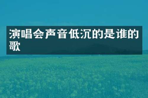 演唱会声音低沉的是谁的歌