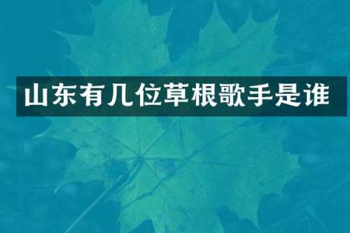 山东有几位草根歌手是谁