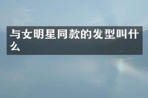 与女明星同款的发型叫什么