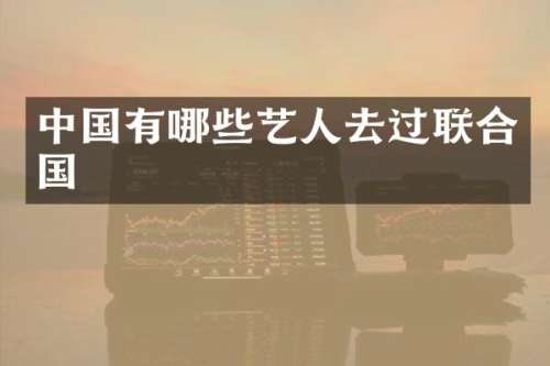 中国有哪些艺人去过联合国