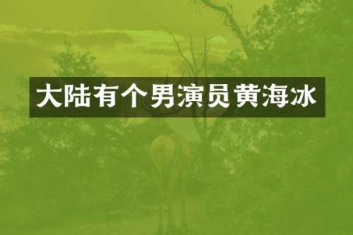 大陆有个男演员黄海冰