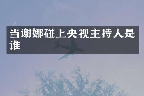 当谢娜碰上央视主持人是谁