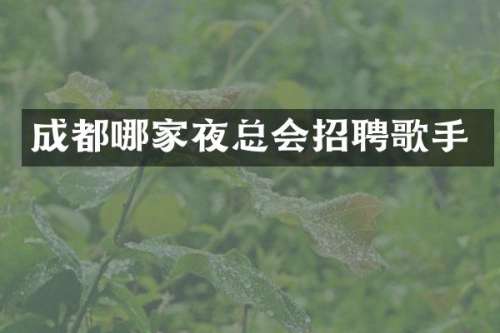 成都哪家招聘歌手