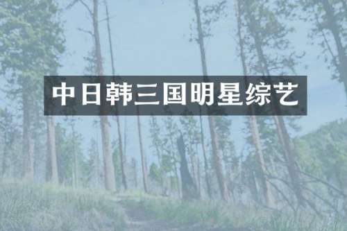 中日韩三国明星综艺