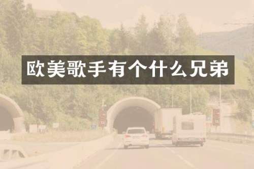 欧美歌手有个什么兄弟