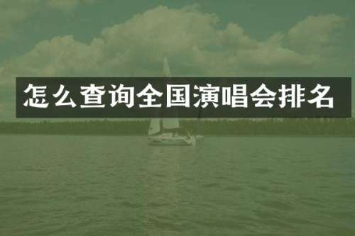怎么查询全国演唱会排名