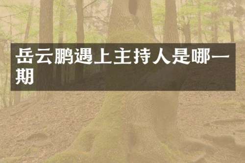 岳云鹏遇上主持人是哪一期