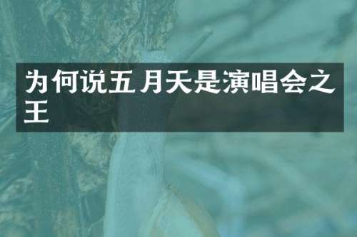为何说五月天是演唱会之王