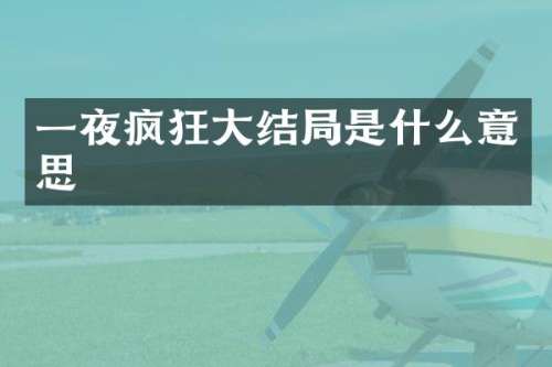 一夜疯狂大结局是什么意思