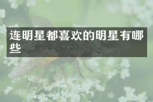 连明星都喜欢的明星有哪些